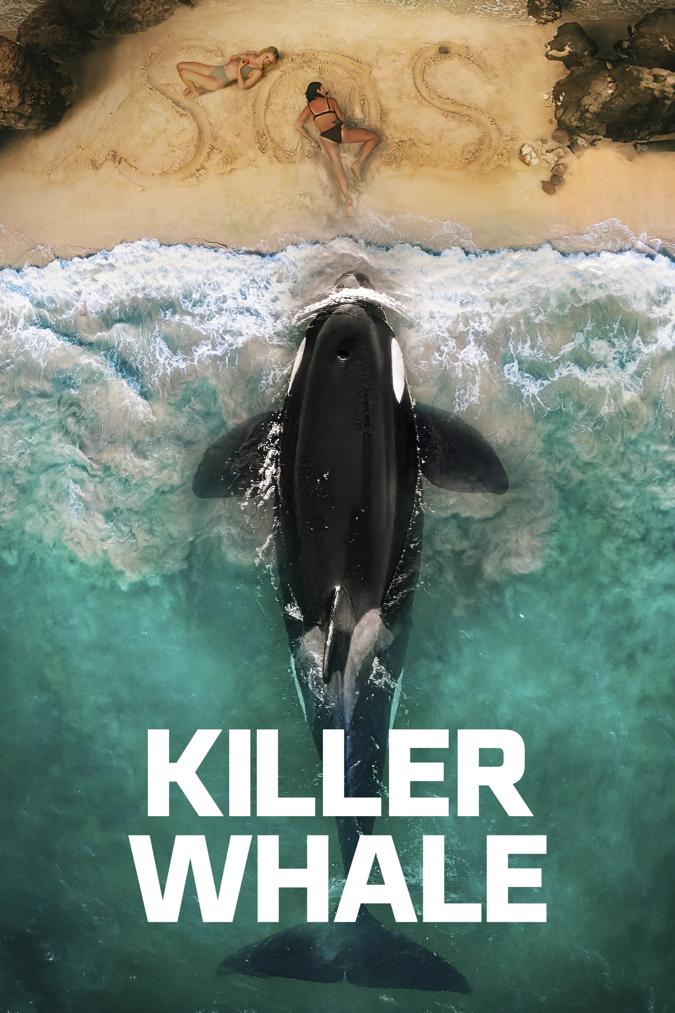 Killer Whale