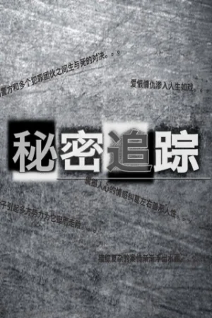 Theo Dấu Bí Mật